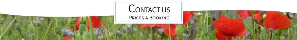 contact Steading Cottage